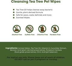 Best Pet Supplies 8" x 9" Pet Grooming Wipes for Dogs & Cats, 100 Pack, Plant-Based Deodorizer for Coats & Dry, Itchy, or Sensitive Skin, Clean Ears, Paws, & Butt - Calming Lavender